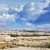 Shalom-Jerusalem-Tours-Come-Holy-Spirit-Israel  Zion Arise Shalom Jerusalem Tours Come Holy Spirit Israel 100x100